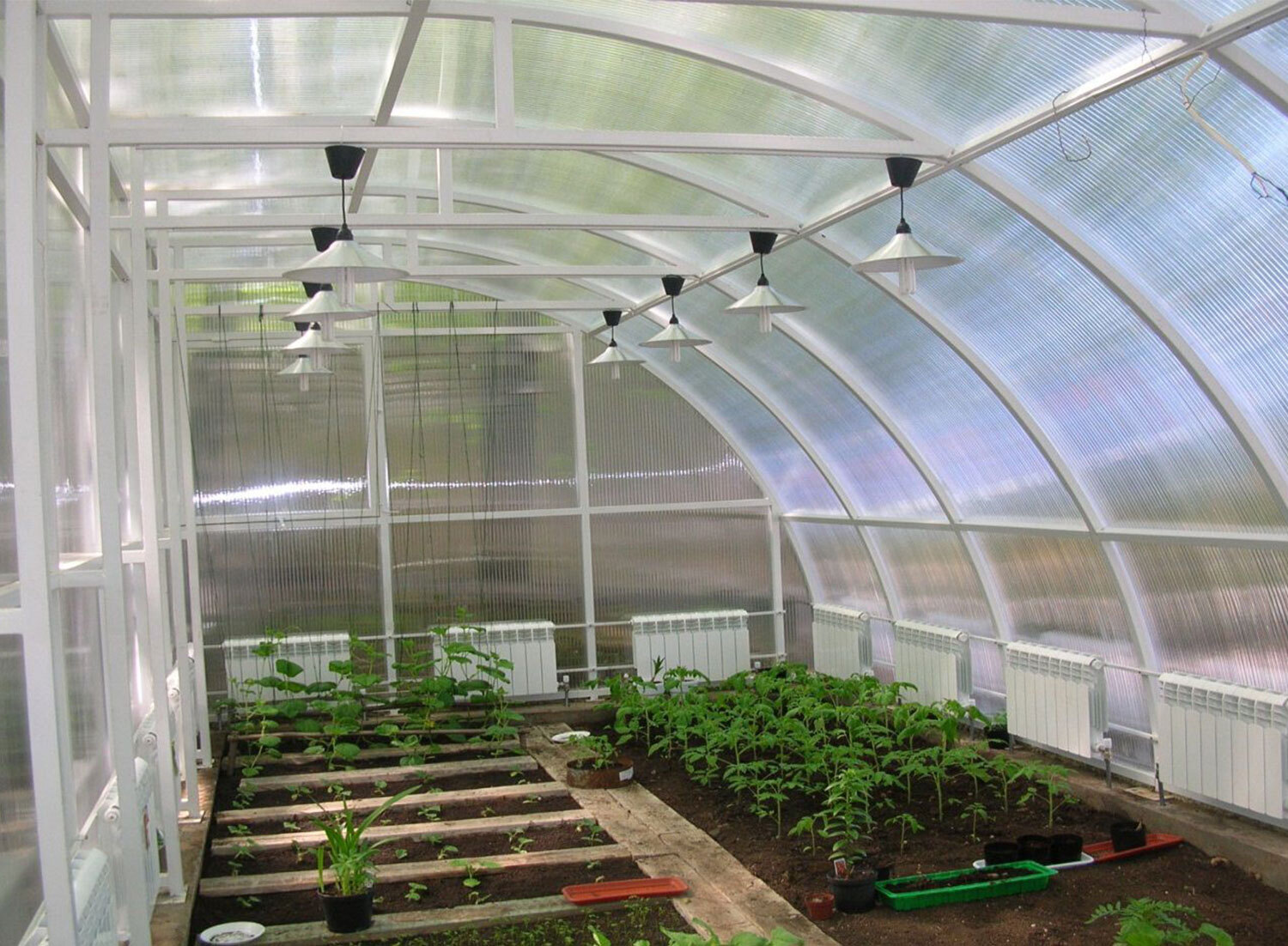 Read more about the article What is a greenhouse and its uses?