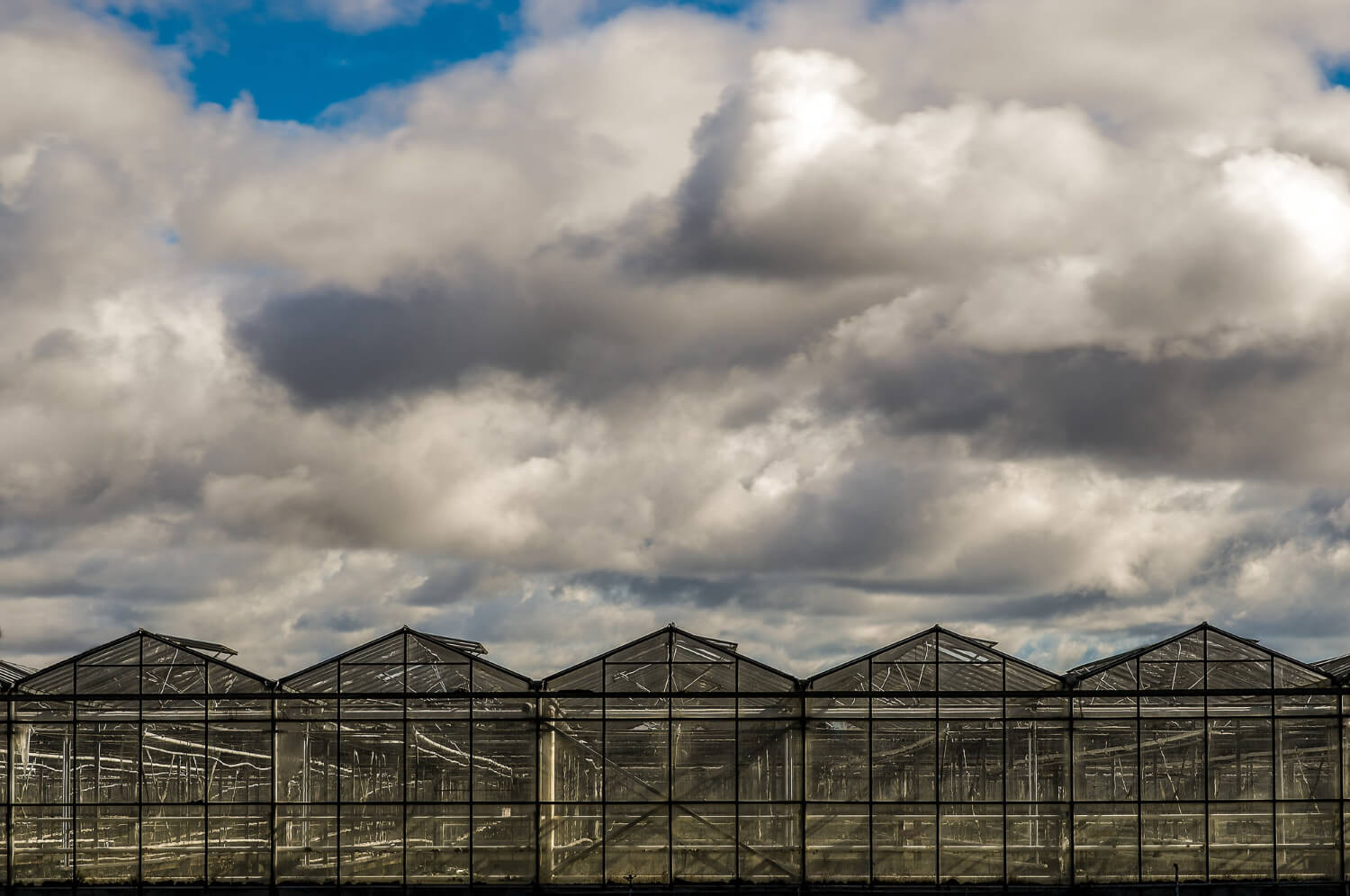 Read more about the article Greenhouse Construction Materials: Comparing Options for Efficiency and Sustainability